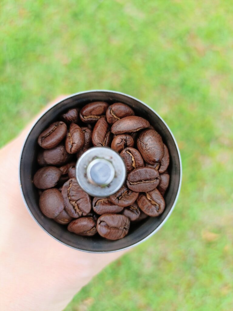 焙煎されたばかりの艶がある土居珈琲「甘いブレンド」のコーヒー豆