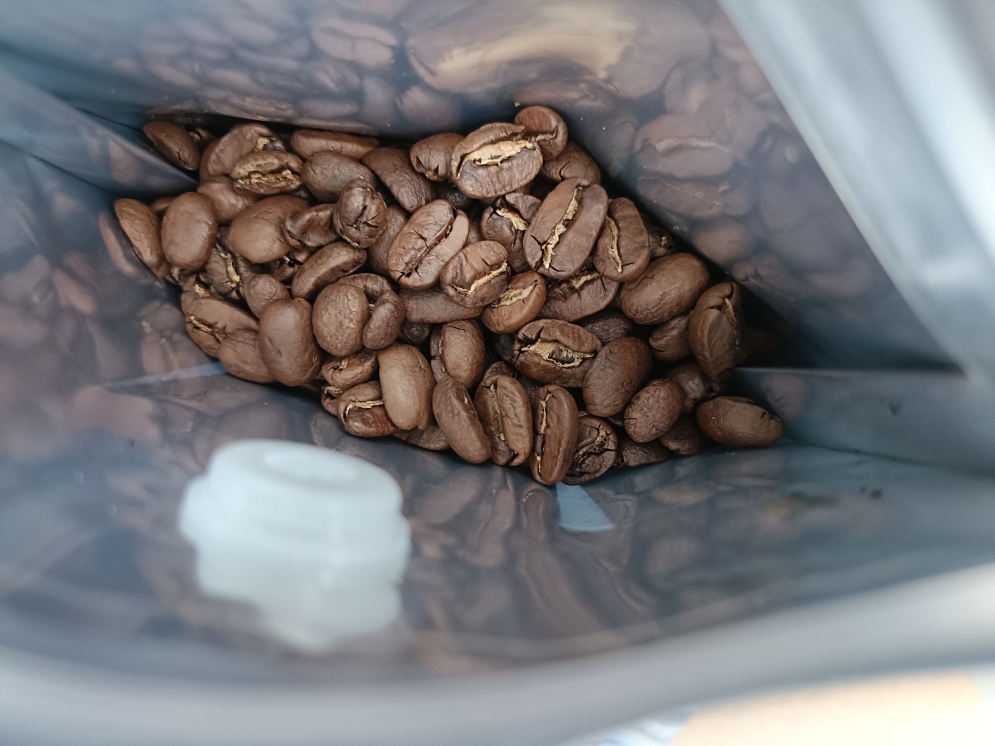 Leoコーヒーの中煎り:ニカラグアの豆の様子。